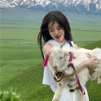 毒枭煮妇